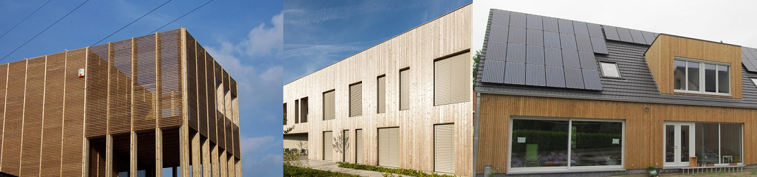 Platowood